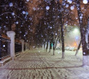 Вечером 12 января в Туле ожидается сильный снегопад
