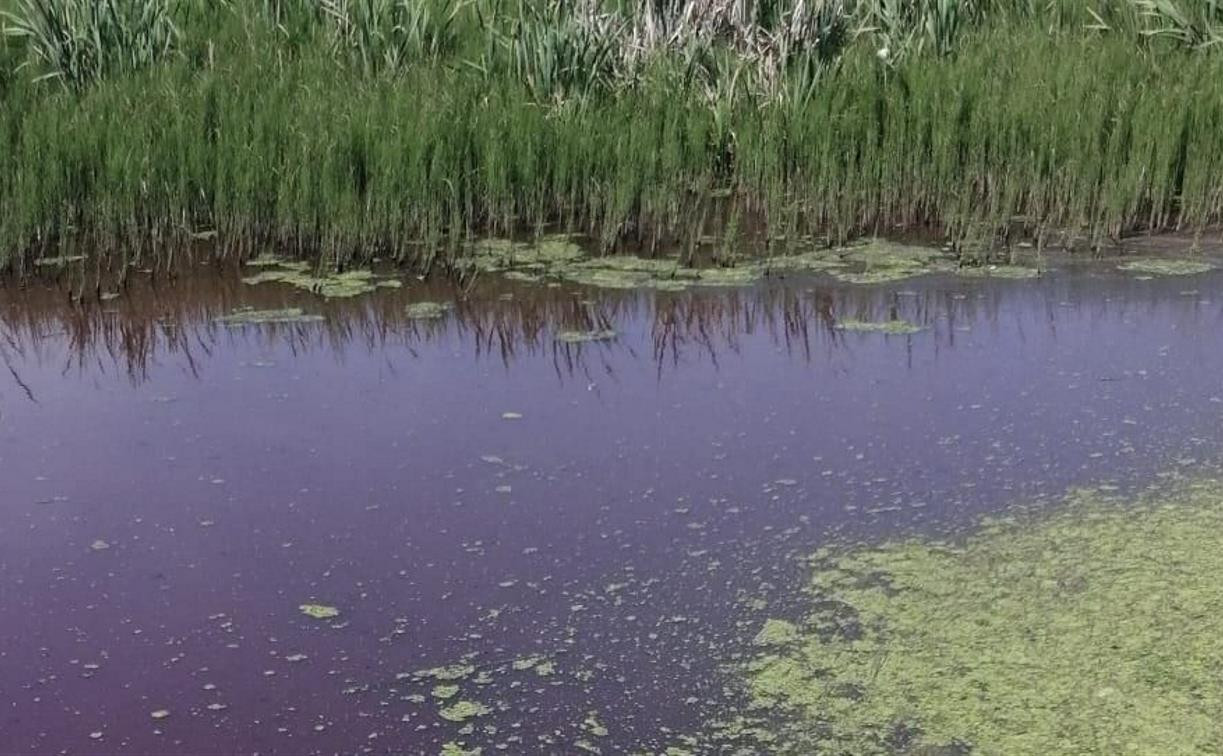 В Чернском районе вода в реке окрасилась в красный цвет