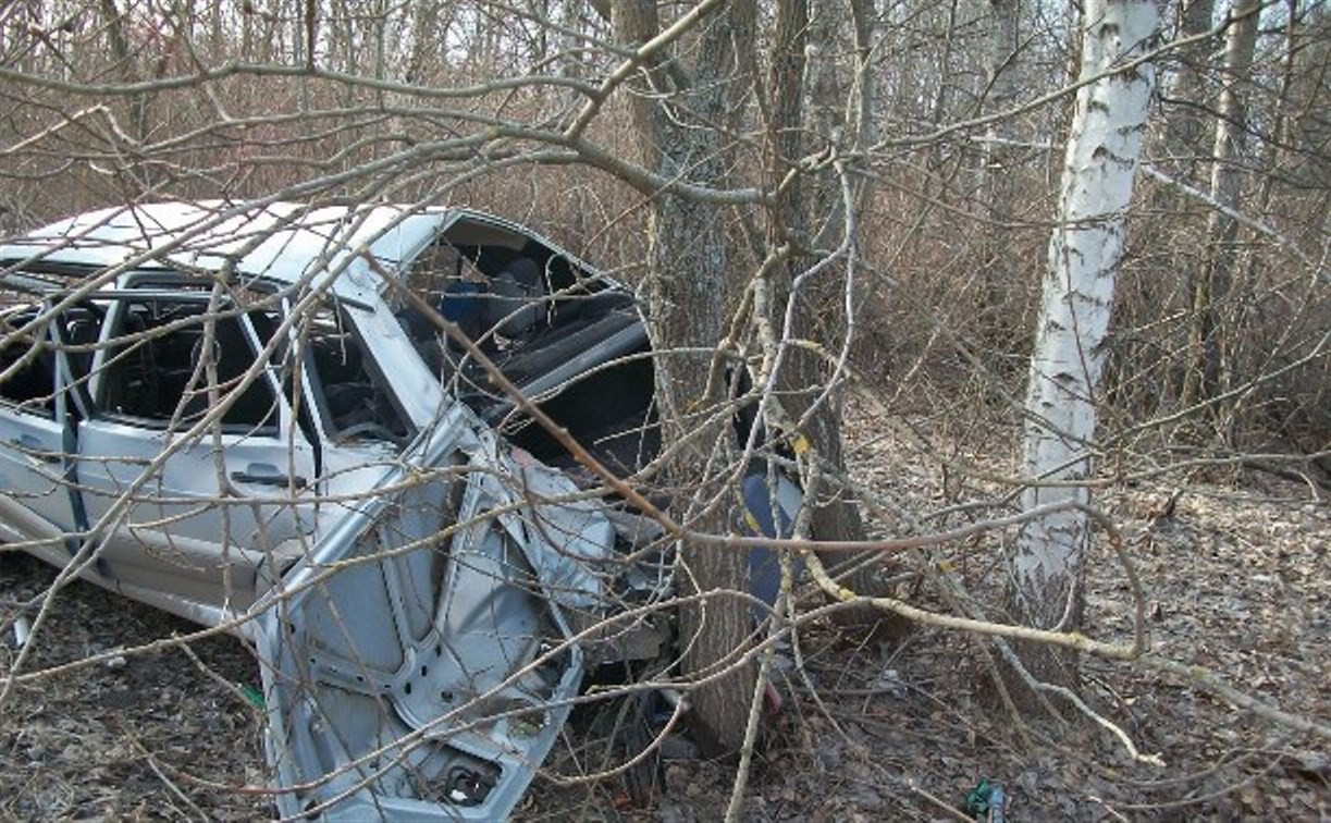 В Тульской области из-за пьяного автомобилиста погибла женщина