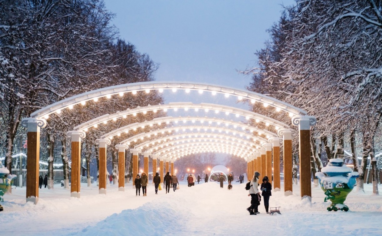 Масленица и трейл «Я — Патриот»: опубликована афиша проекта «Зима по-тульски» на февраль