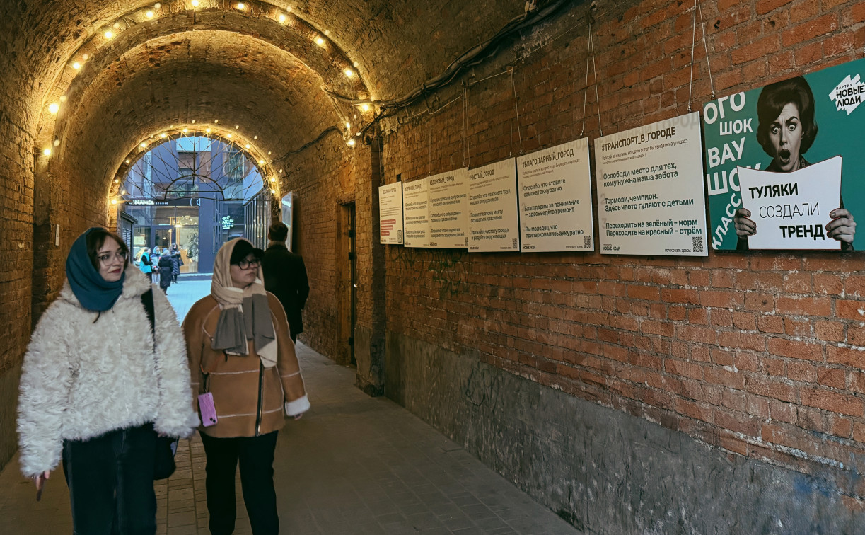 Вежливые пожелания вместо приказов: в Туле партия «Новые люди» меняет подход к городским табличкам