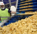 В 2016 году в Тульской области появится завод по производству чипсов