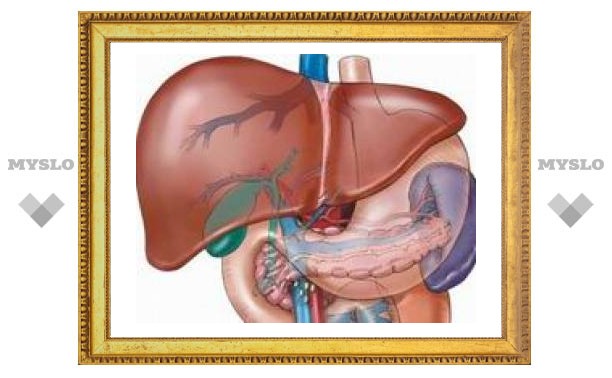 Группа японских исследователей объявила о разработке средства от цирроза печени