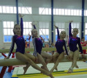 Тульские гимнасты отлично выступили на родном помосте
