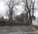 В Туле сильный ветер повалил дерево и рекламный щит