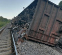 Ущерб от сошедшего с путей поезда в Тульской области превысил 2 млн рублей