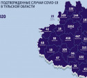 В каких городах и сёлах Тульской области есть коронавирус: карта на 7 июля