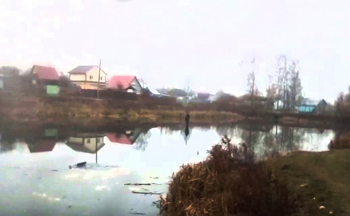 «По воде идет!»: тулячка сняла на видео идущего по пруду человека