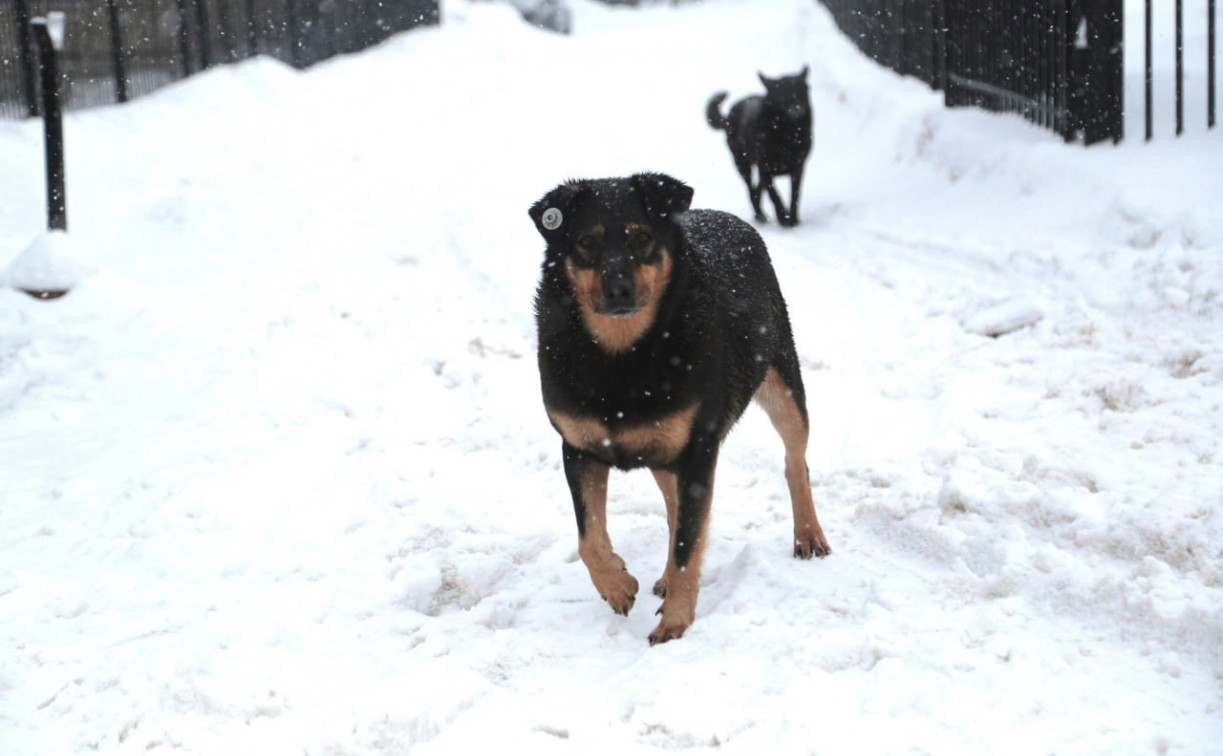 В Туле отменили выплаты для приюта «Континент+»