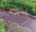 Скотобойня в Донском сливала кровавые отходы в пруд: причиненный ущерб вырос до 7 млн рублей