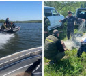 Рейд: на Упе и в Щекинском водохранилище обнаружили полкилометра браконьерских сетей 