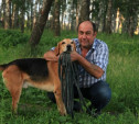 Жители Пролетарского района предлагают сделать площадку для выгула собак в березовой роще