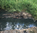 Жители деревни Тихвинка и пос. Трудовой Тулы пожаловались на канализационную вонь