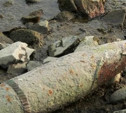 Жители области нашли минометную мину и артиллерийский снаряд