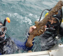 Подводная экспедиция в Крым: туляки изучат место крушения старинного линкора