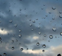 Погода в Туле 14 октября: до 10 градусов тепла, дождь и порывистый ветер