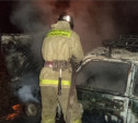 Ночью в Щёкинском районе сгорела «Нива»