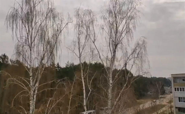 Похожий на мощный взрыв звук попал на видео в Тульской области