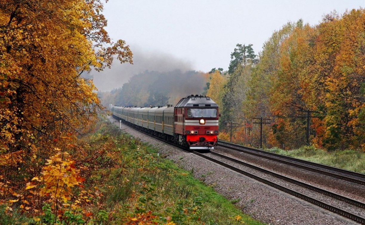 В Тульской области произошло более 50 случаев вмешательства в работу железной дороги