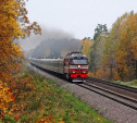 В Тульской области произошло более 50 случаев вмешательства в работу железной дороги