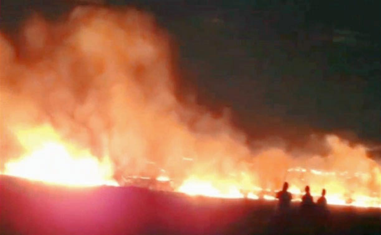 Туляк о крупном полевом пожаре в Маслово: «Горела трава и деревья, огонь подходил к домам!»