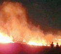 Туляк о крупном полевом пожаре в Маслово: «Горела трава и деревья, огонь подходил к домам!»