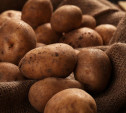 Тульские аграрии собрали рекордный урожай картофеля