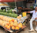В Туле прошел рейд по точкам незаконной торговли арбузами