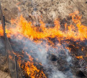 В трех районах Тульской области сохранится высокая степень пожароопасности
