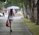 Погода в Туле 14 июля: сильные дожди, ветер и до +22