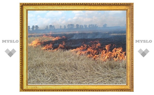 Пожары добрались до Тульской области