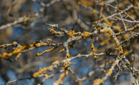 Жизнь Тулы и области