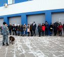 Тульские студенты посетили полицейский кинологический центр