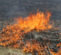МЧС объявило в Тульской области метеопредупреждение из-за высокого риска лесных пожаров