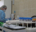 Назван алгоритм лечения больных коронавирусом в Тульской области