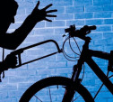 Туляк отправится в колонию строгого режима за кражу велосипеда