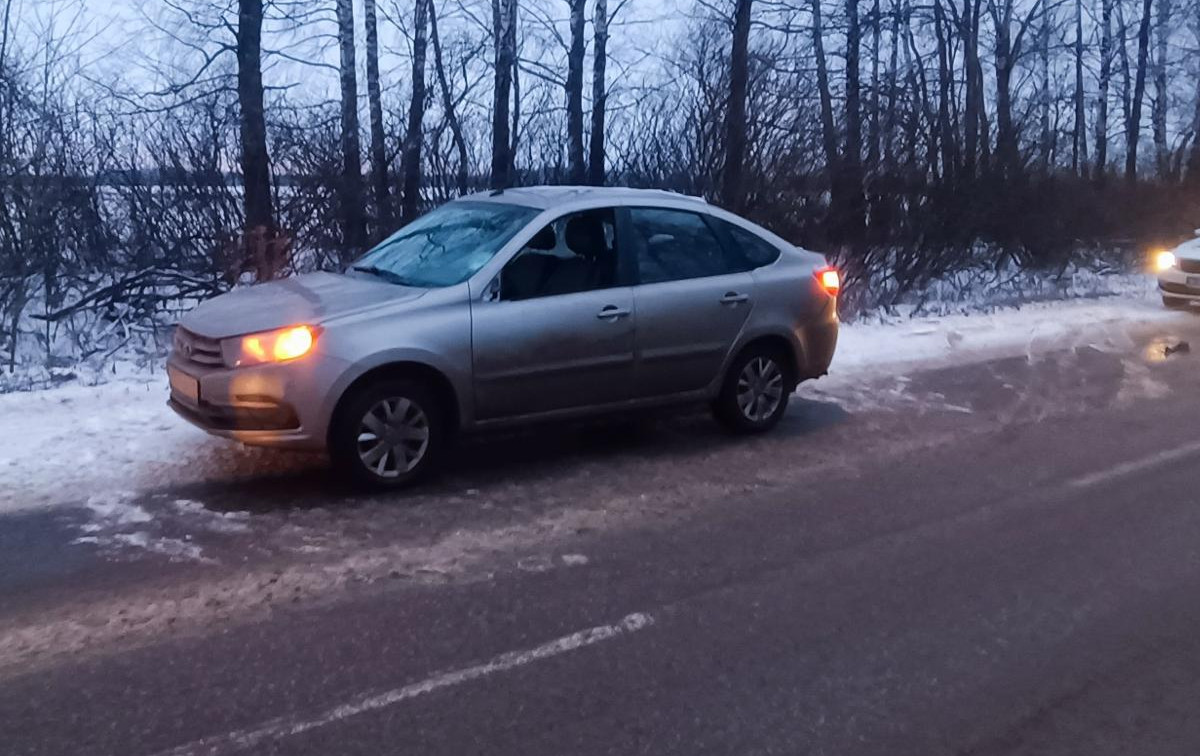 Под Тулой водитель Lada обогнал на встречке и сбил пешехода 