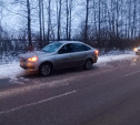 Под Тулой водитель Lada обогнал на встречке и сбил пешехода 