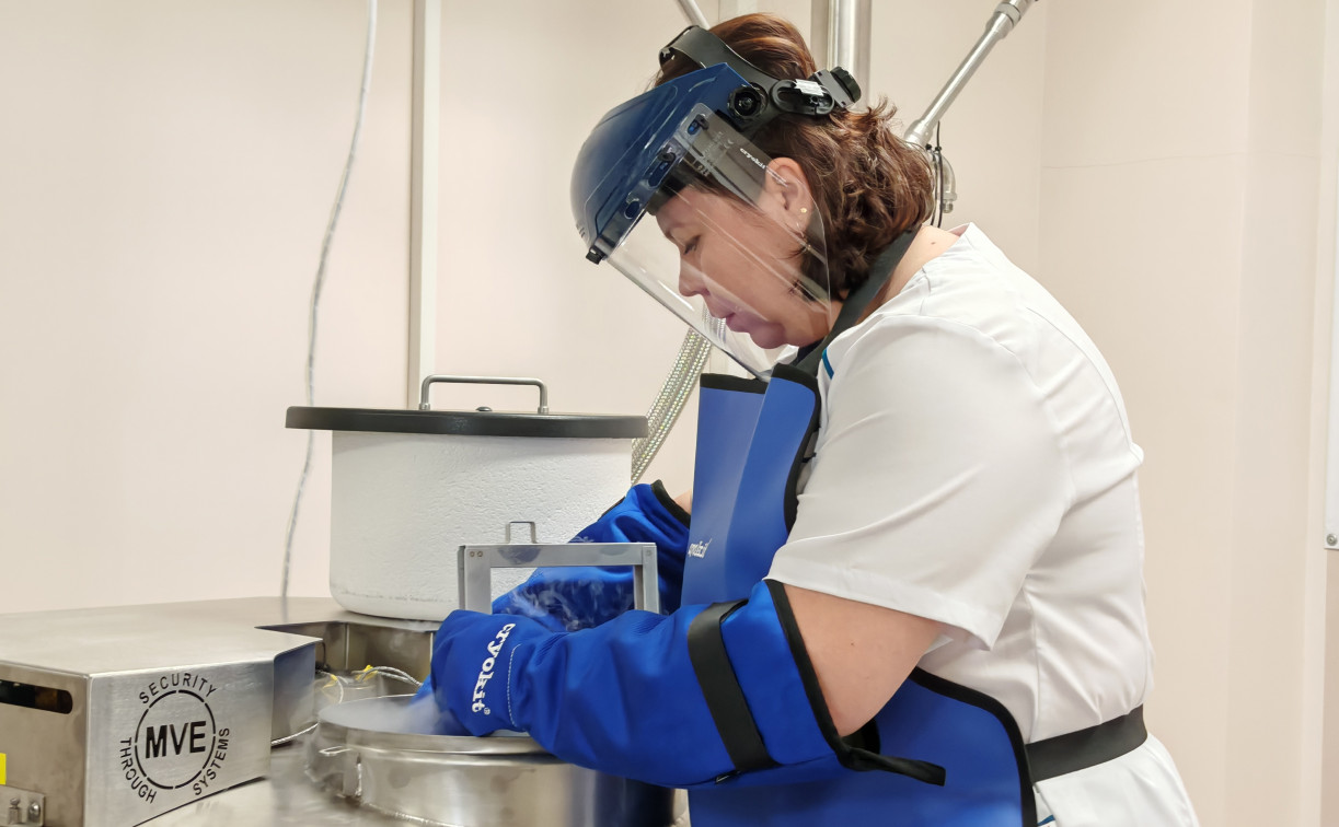 В Тульской области замораживают и пересаживают стволовые клетки