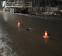 В Донском водитель сбил троих пешеходов: один человек погиб