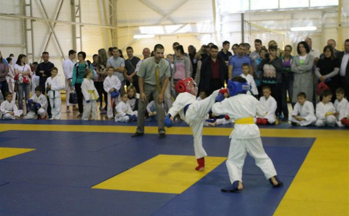 В Туле прошёл открытый турнир по каратэ 