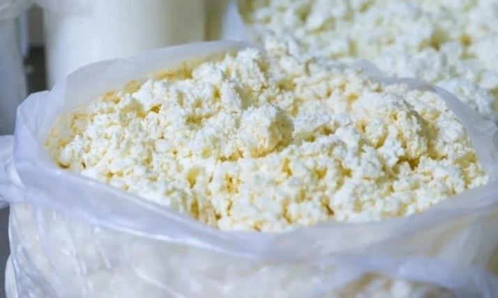 Тульский производитель кормил детей небезопасным творогом