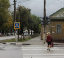 В Туле появится более двух тысяч новых деревьев!