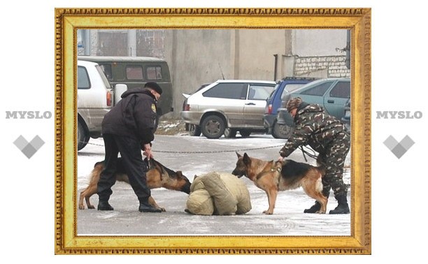 В Туле продолжают ловить наркоманов