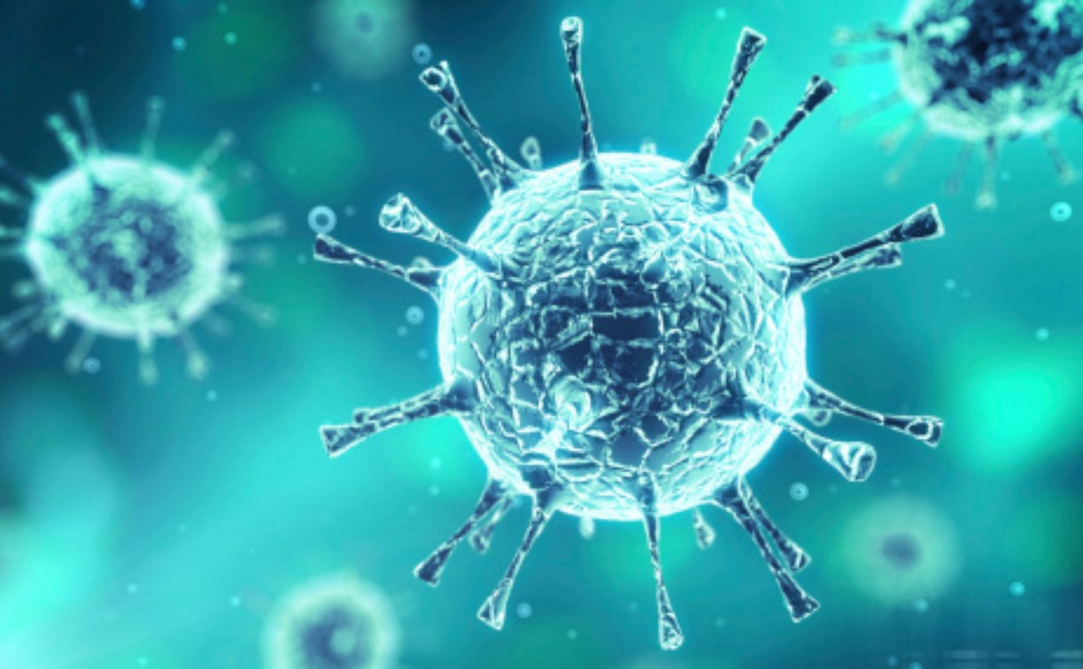 В Тульской области отмечены случаи заражения энтеровирусом