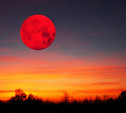 Туляки увидят «кровавую» Луну