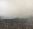 В Алексинском районе дача сгорела дотла