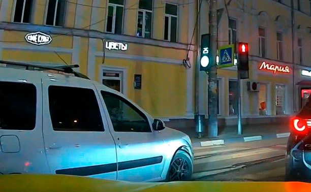 На ул. Ф. Энгельса в Туле встретили двух торопыг