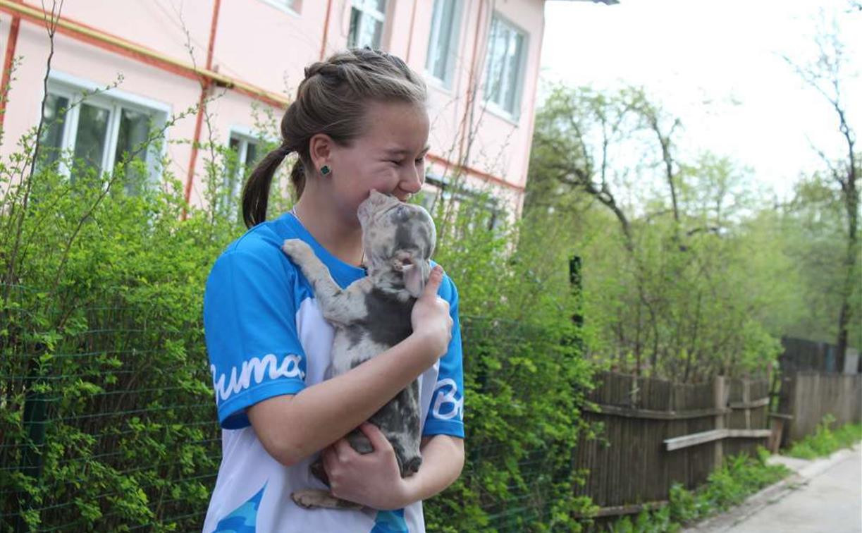 Владимир Путин подарил щенка школьнице из Тульской области