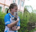 Владимир Путин подарил щенка школьнице из Тульской области